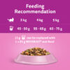 Whiskas 11 + Cat Pouches - Fish Favourites In Jelly (12x85g) - Image 2