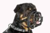 Baskerville Ultra Muzzle - Image 5