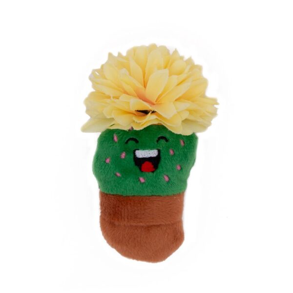 Fiesta Cactus Pot