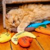 King Catnip Frog - Image 2