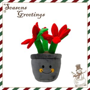 Ancol Xmas - Henrietta Poinstettia