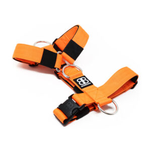 BullyBillows Anti Pull Harness