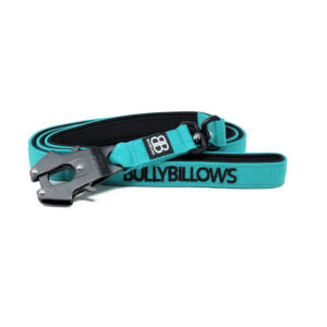 BullyBillows 3cm Swivel Combat Dog Lead - Turquoise (1.4m)