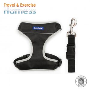 Exercise Harness - Black
