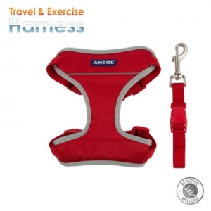 Exercise Harness - Red