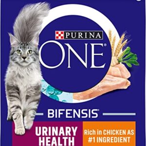 Urinary Health Adult Cat